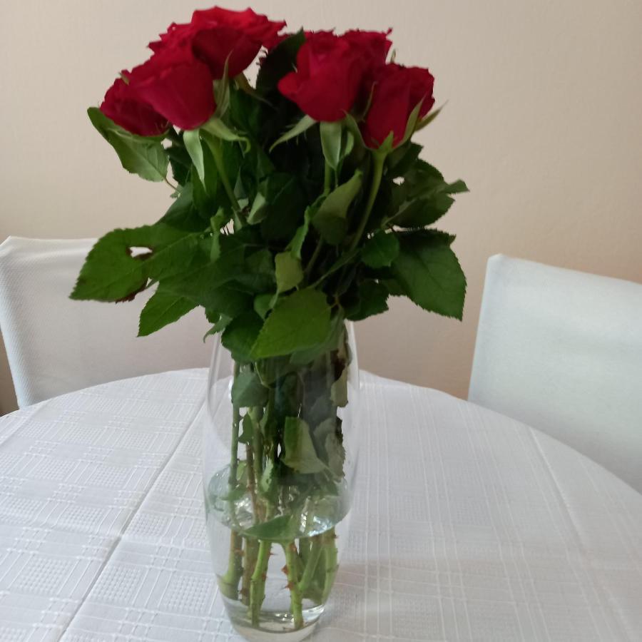 Apartament Rivijera Belgrad Zewnętrze zdjęcie